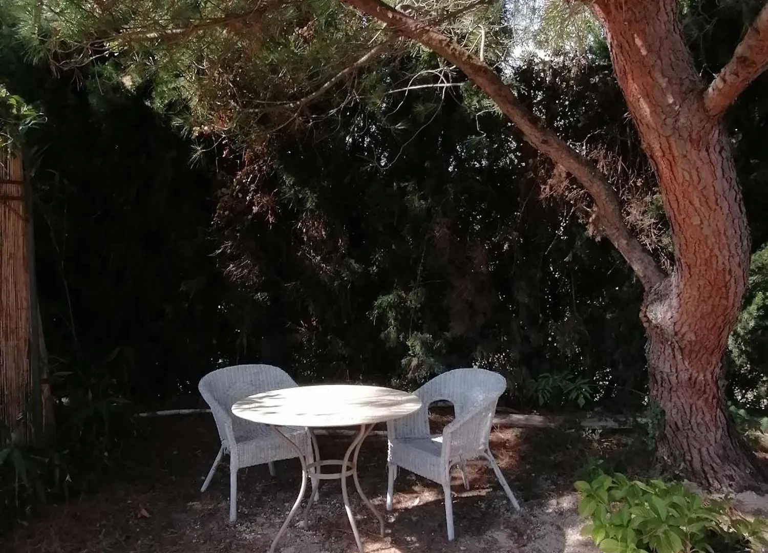 Le Refuge De Manou Bed & Breakfast Saint-Peray